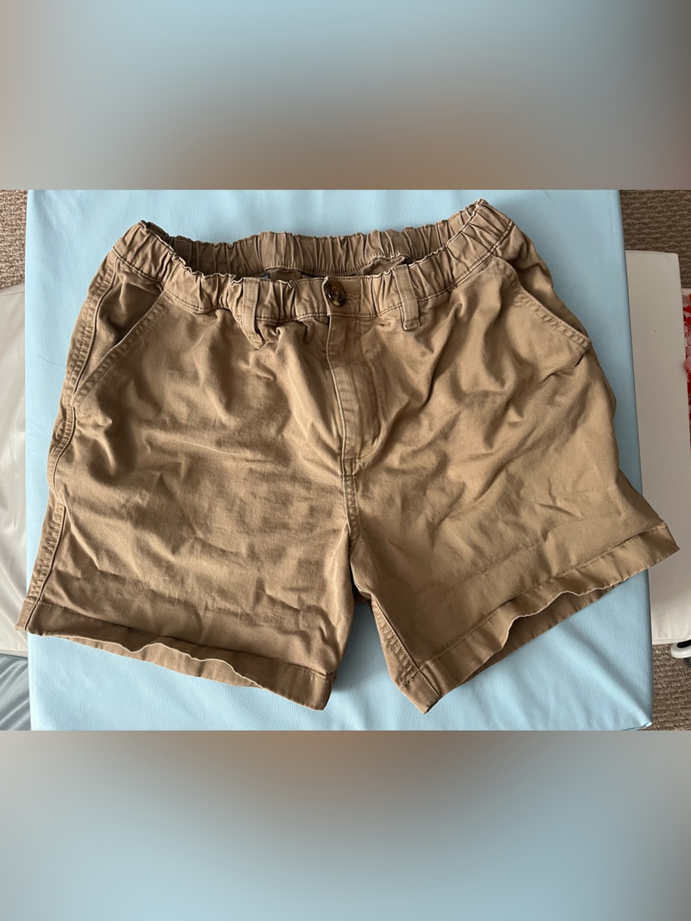 Men’s Chubbies 5.5” inseam